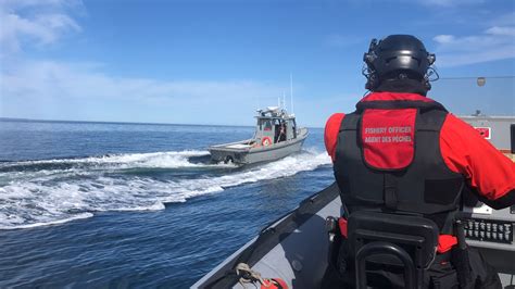 dfo licensing|Fishing Licence.